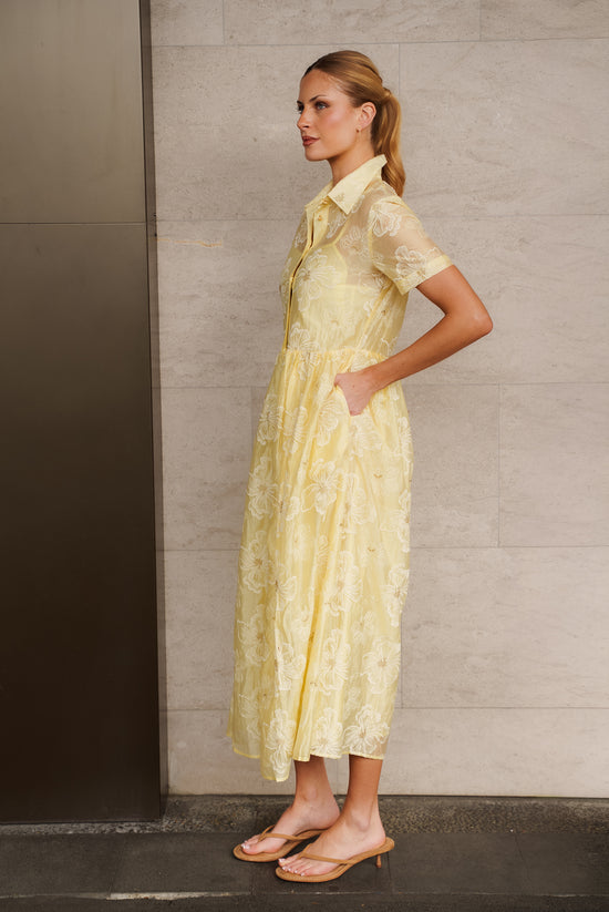 Cosenza Dress