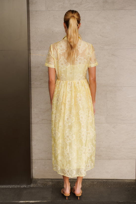 Cosenza Dress